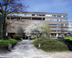 Image of: Merz Court