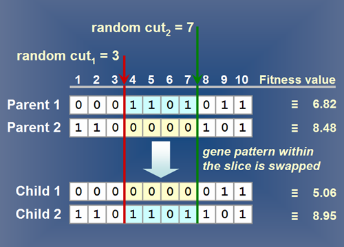 Image of: Fig 3. A typical simple crossover method