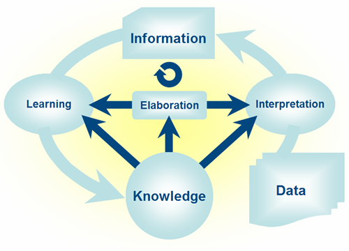 Image of: Fig 1. The role of knowledge in driving the transformation process