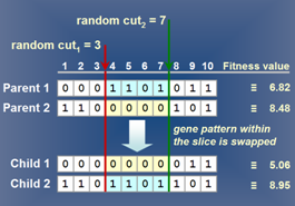 Image of: Fig 3. Simple crossover