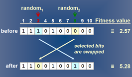 Image of: Fig 4. Mutation