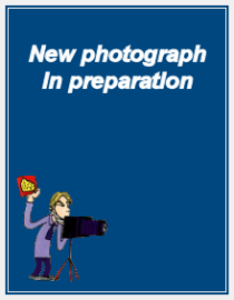 New photo in preparation 